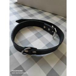 Halsband hond 61 cm nieuw zwart