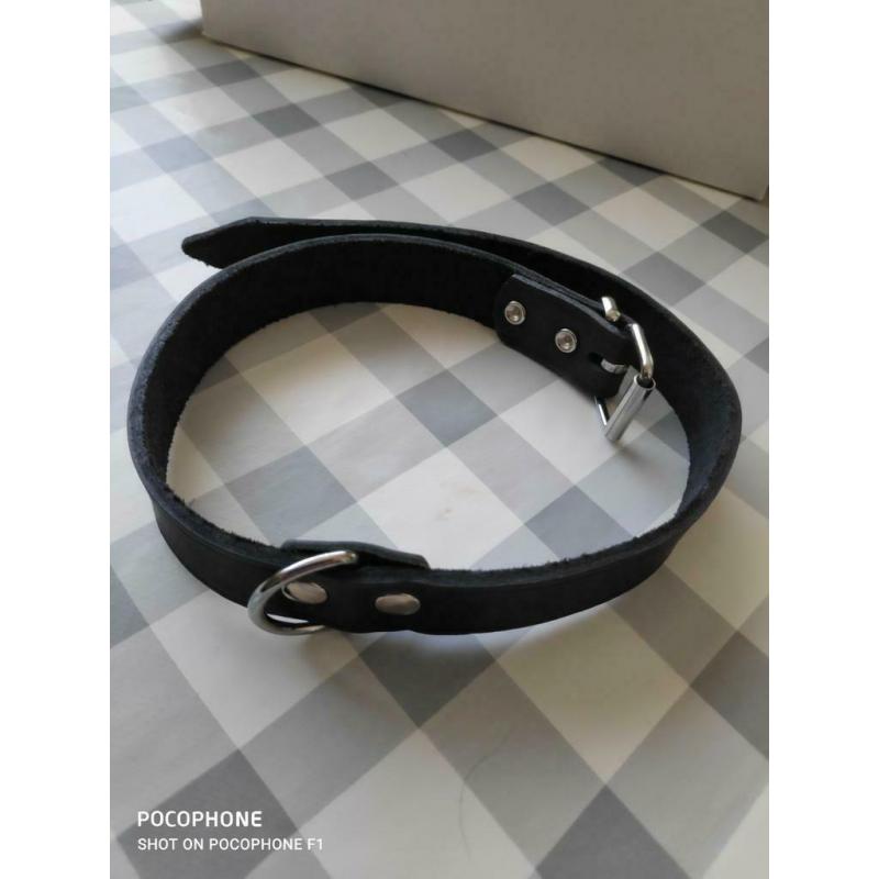 Halsband hond 61 cm nieuw zwart