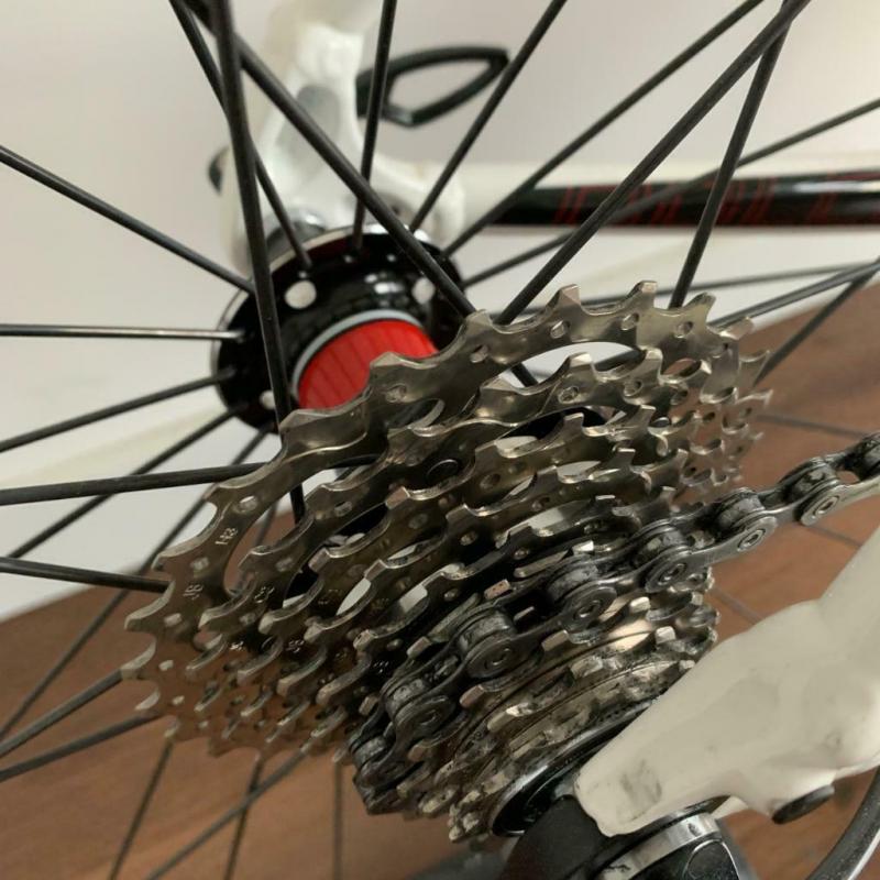 Specialized Dolce Comp
