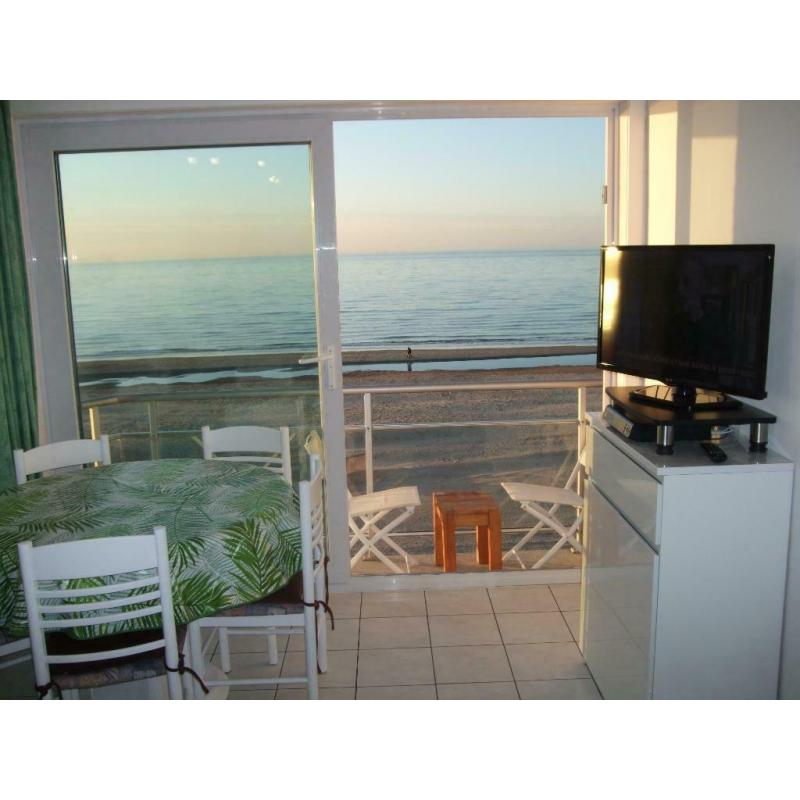 Coxyde face mer digue moderne app balcon à partir de 300€